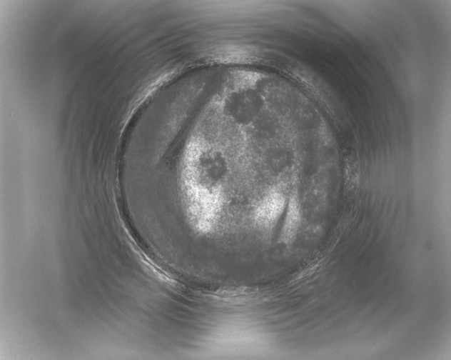 X0000051890725200507222015