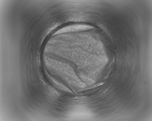 X0000051890727200507222015