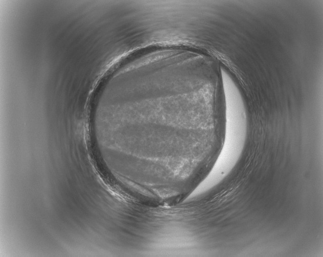 X0000051890728200507222015