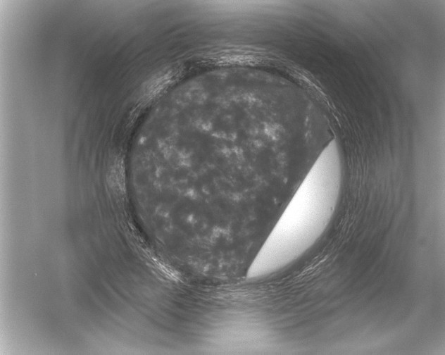 X0000051890729200507222015