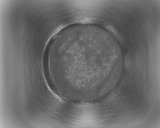 X0000051890730200507222015