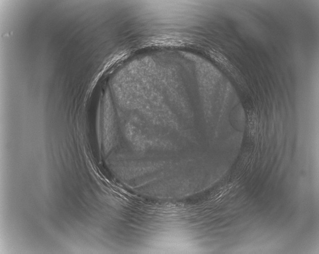 X0000051890731200507222015