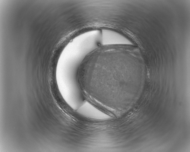 X0000051890732200507222015