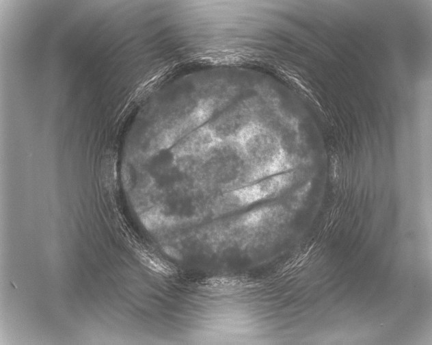 X0000051890733200507222015