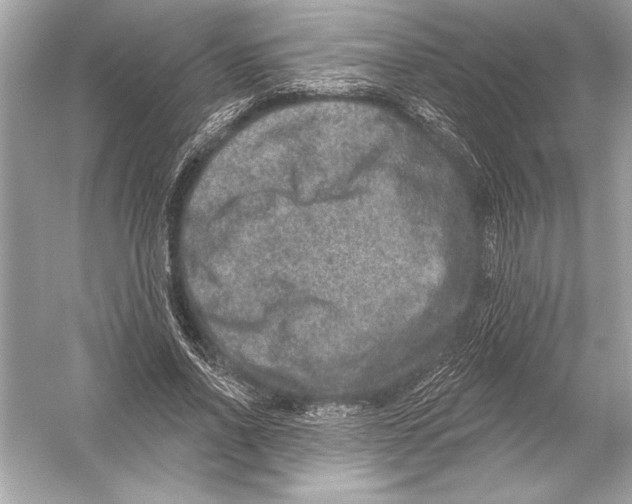 X0000051890734200507222015