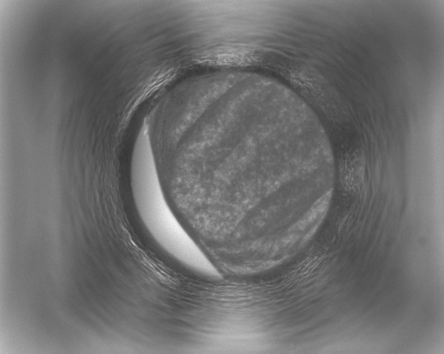 X0000051890735200507222015