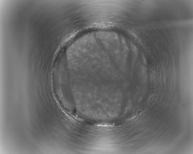 X0000051890736200507222015