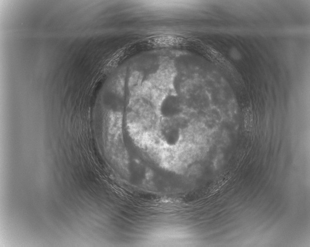 X0000051890737200507222015