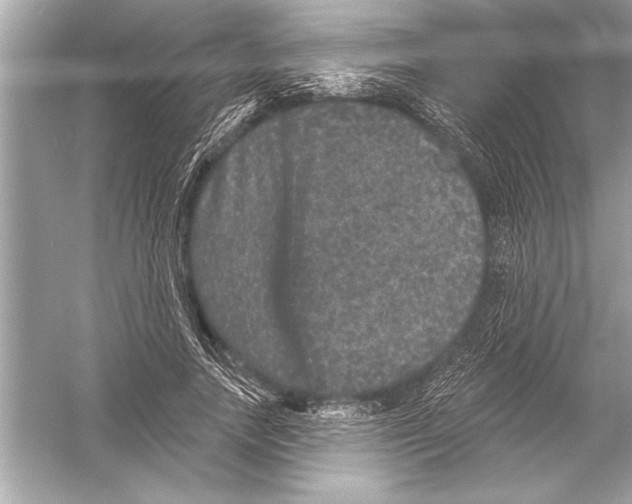 X0000051890738200507222015