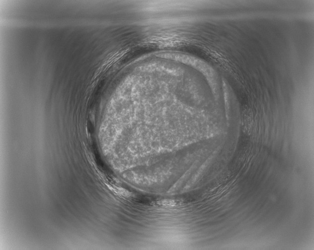 X0000051890740200507222015