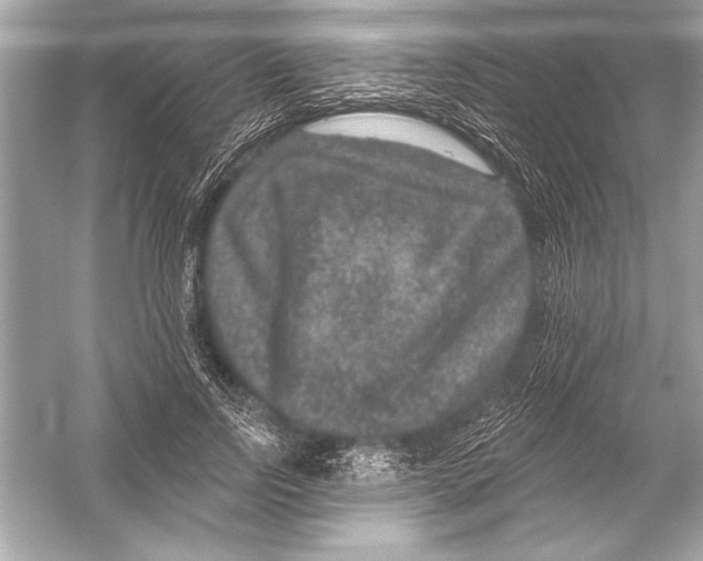 X0000051890742200507222015