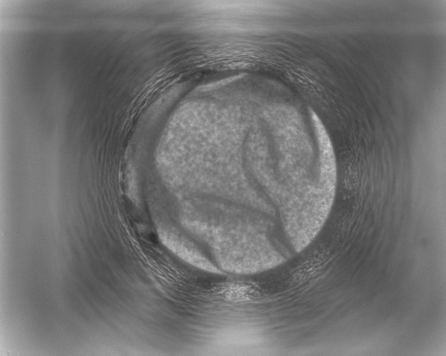 X0000051890743200507222015