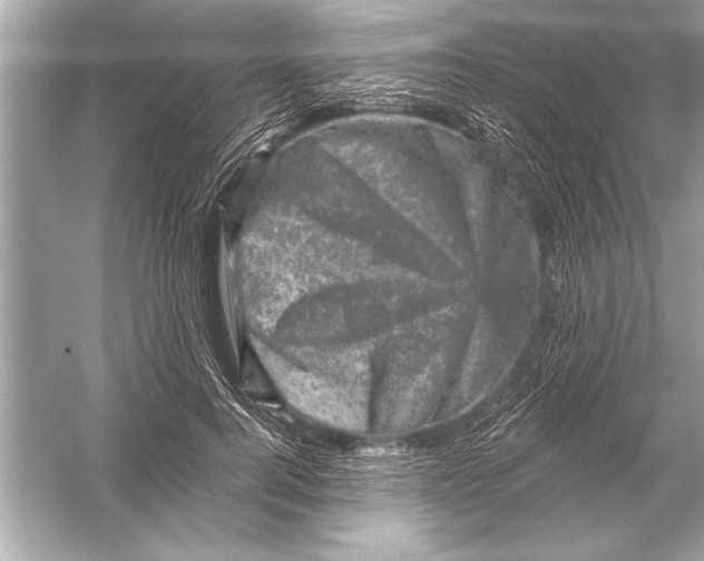 X0000051890744200507222015