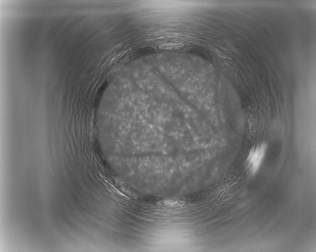 X0000051890745200507222015