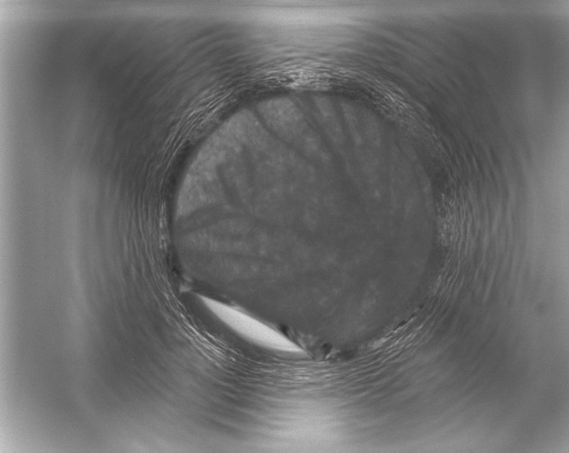 X0000051890748200507222015