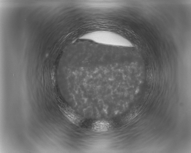 X0000051890749200507222015