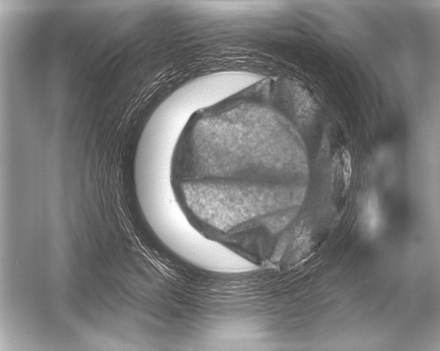 X0000051890750200507222015