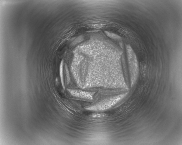 X0000051890752200507222015