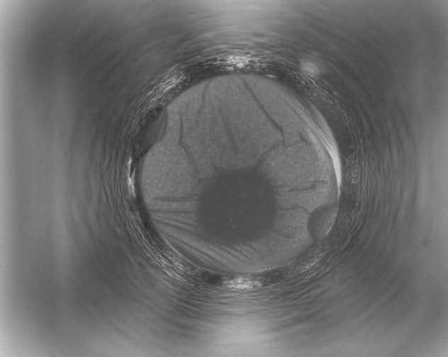 X0000051890754200507222015