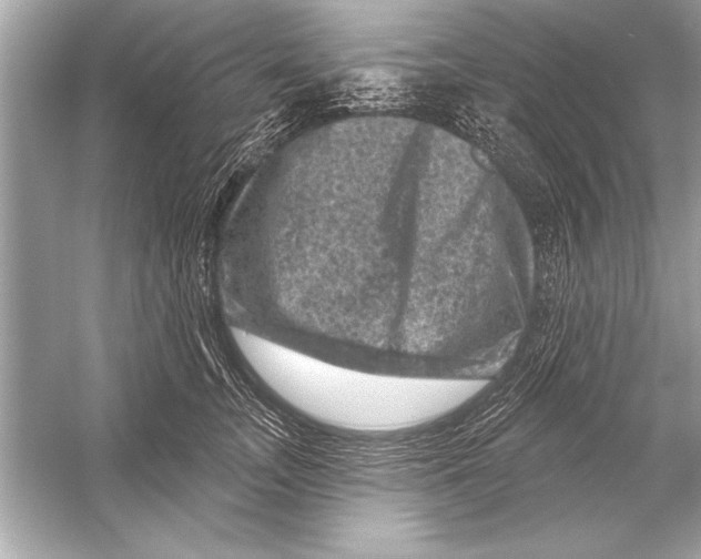 X0000051890755200507222015