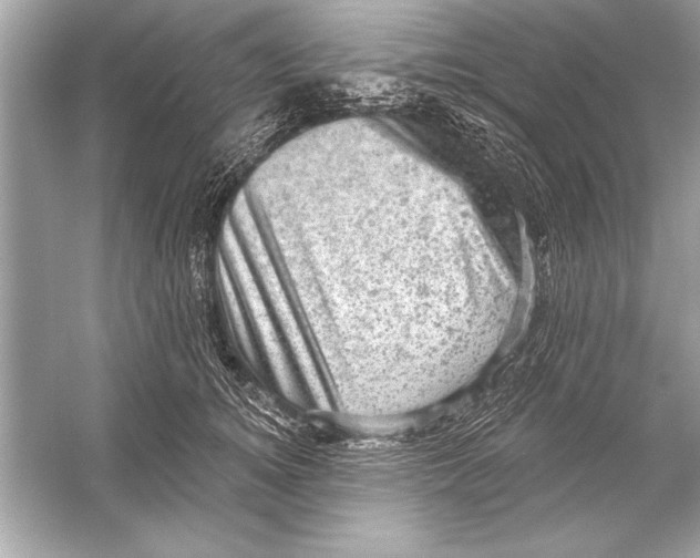 X0000051890756200507222015