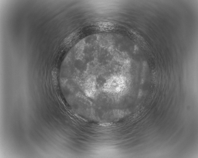 X0000051890757200507222015