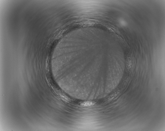 X0000051890759200507222015