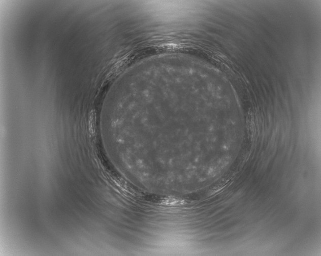 X0000051890760200507222015