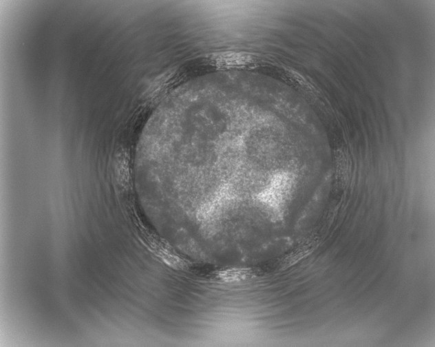 X0000051890761200507222015