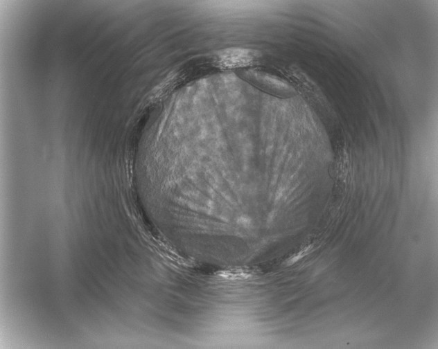 X0000051890763200507222015