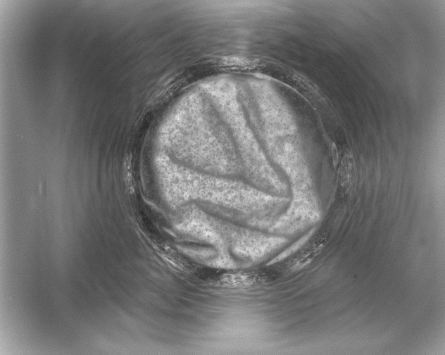 X0000051890764200507222015