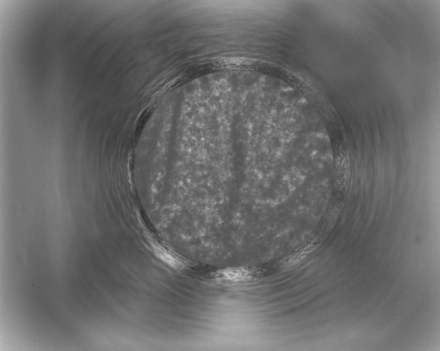 X0000051890765200507222016