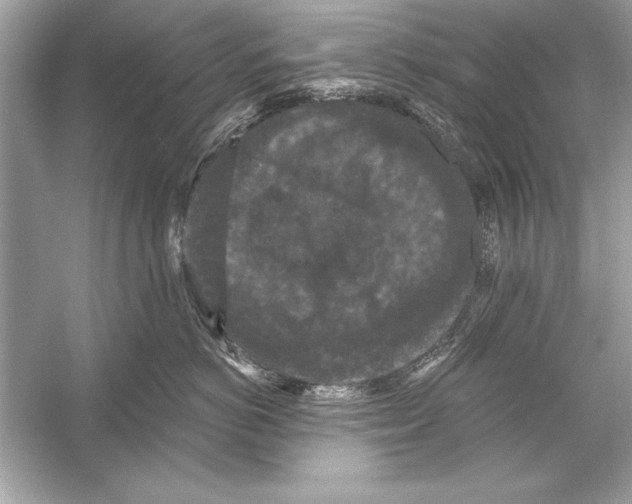 X0000051890766200507222016