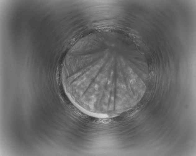 X0000051890767200507222016