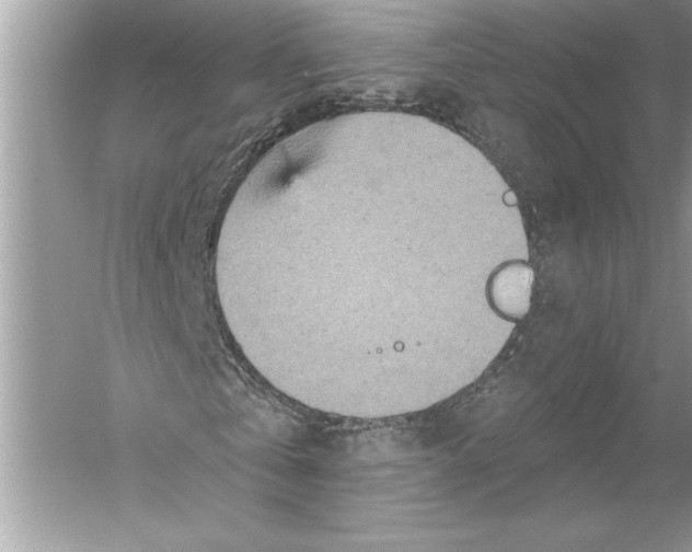 X0000051890769200507222015