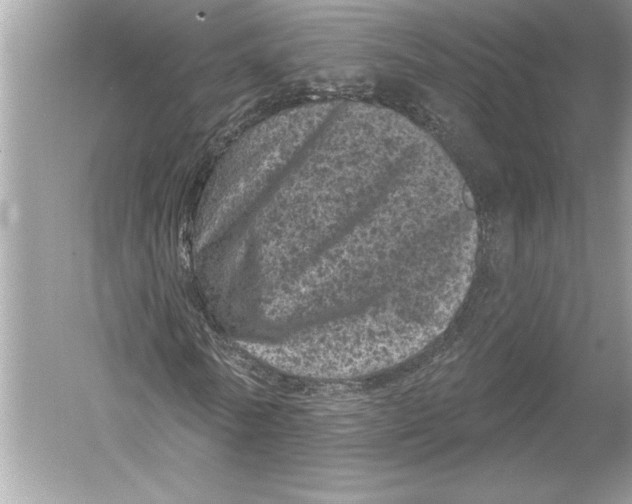 X0000051890770200507222015