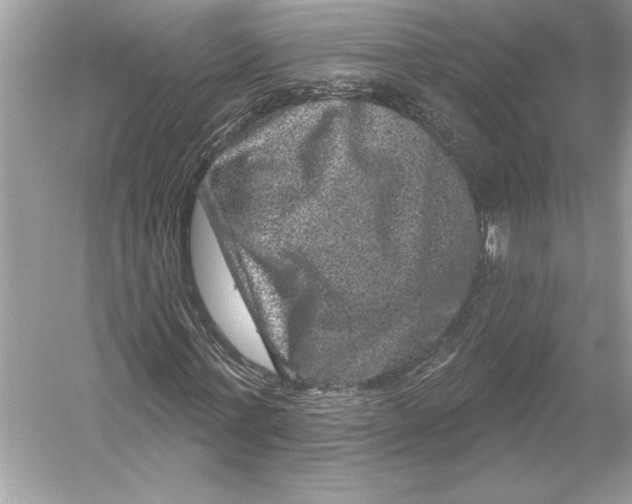 X0000051890771200507222015