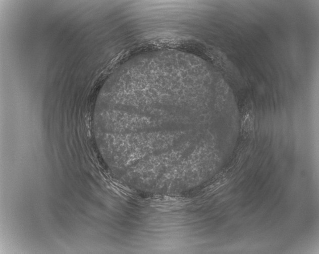 X0000051890772200507222015