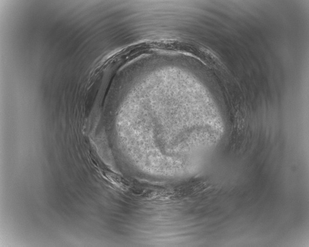 X0000051890773200507222015