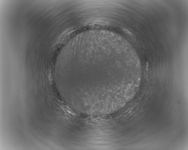 X0000051890774200507222015