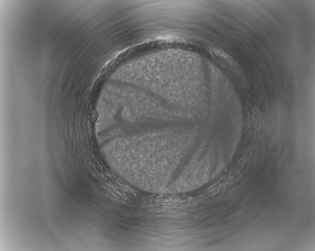 X0000051890776200507222015