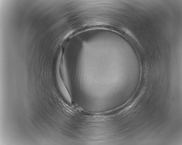 X0000051890777200507222015