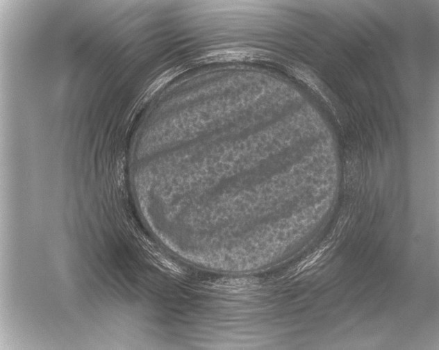 X0000051890778200507222015