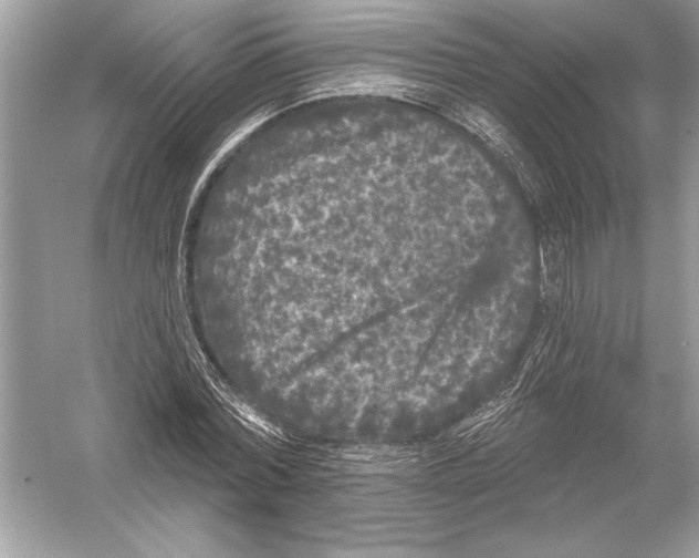 X0000051890780200507222015