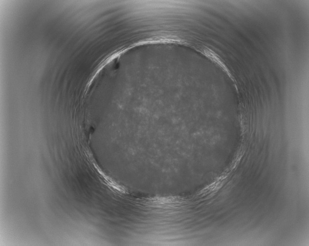 X0000051890781200507222015