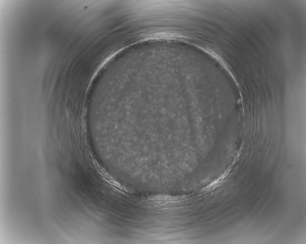 X0000051890783200507222014