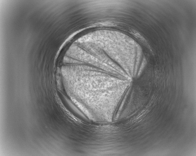 X0000051890784200507222014