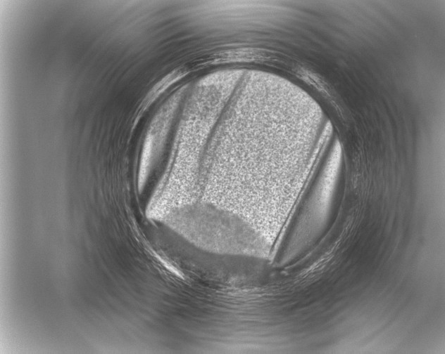 X0000051890786200507222014