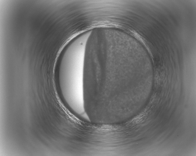 X0000051890787200507222014