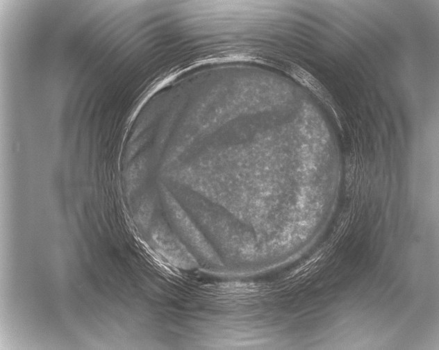 X0000051890789200507222014